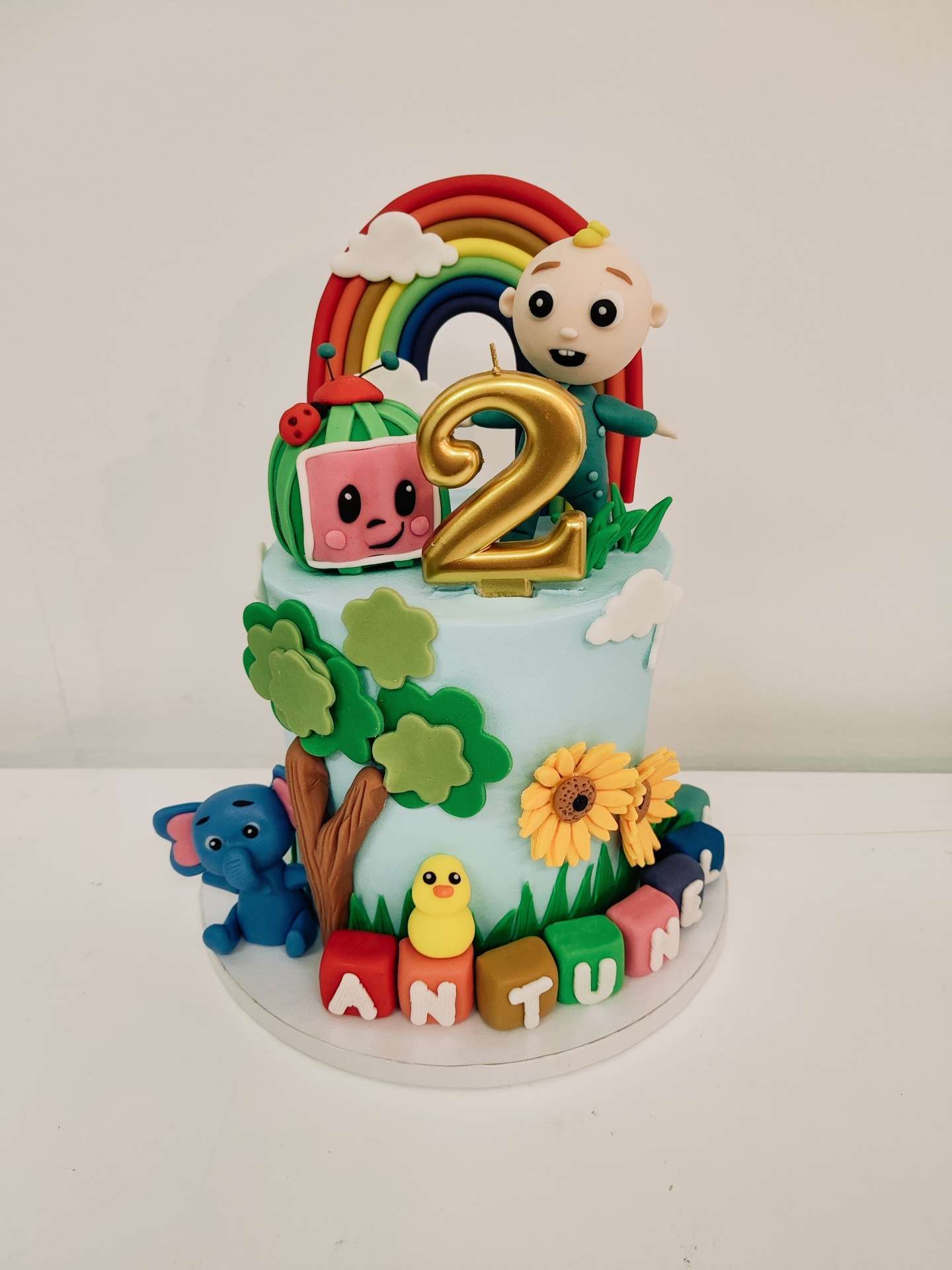 Ostale rođendanske torte slika-47